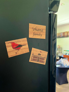 Koa Magnets