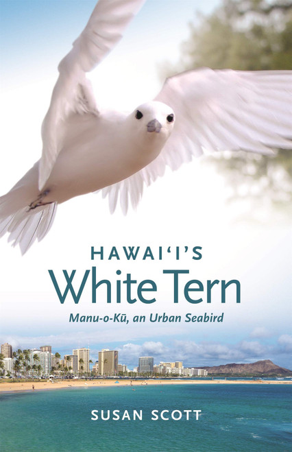 Hawaii's White Tern