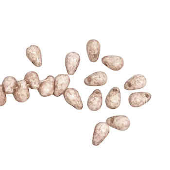 4 x 6mm Drop Beads, Speckled Soft Petal Pink (Qty: Approx. 92/strand)