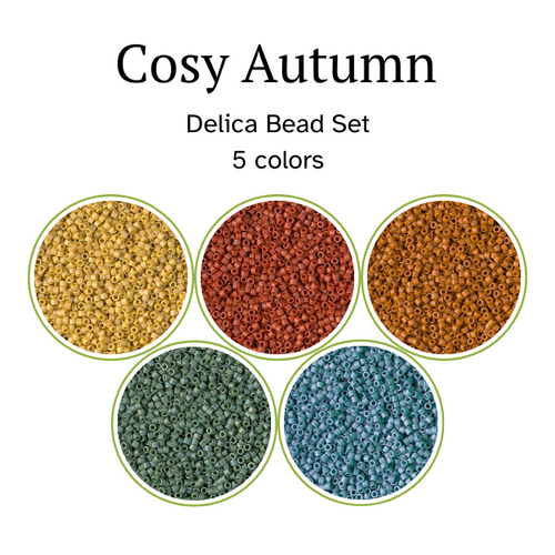 Size 11 Delicas Set, Cozy Autumn - 5 Colors