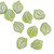 Czech Glass Flower Petals, Light Green with Silver, 12 x 15mm (Qty: 18)