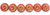 18mm Ammonite Fossil Beads, Red w/Gold Wash (Qty: 6)
