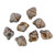 Murex/Conch Shell Beads, Grey with Bronze, 15x12mm (Qty: 8)