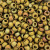 6-F0460R,  Matte Metallic Olivine Iris (25 gr.)