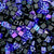 Size 8 Triangle Beads 8-939J, Purple/Matte Jet Multi-Mix (Qty: 25 gr.)