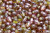6x9mm Czech Glass Drop Beads, Light Peridot w/Pink Wash (Qty: 25) They look like winery grapes!