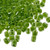 4mm Cube Beads, #2635, Olive-Lined Peridot (10 gr.) (Miyuki)