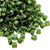 4mm Cube Beads, #333, Metallic Forest Green (10 gr.) (Toho) Discontinued