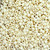 TOHO Aiko 11-409F, Opaque Matte Light Beige Rainbow (5 grams)