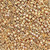 TOHO Aiko 11-PF551, PermaFinish Galvanized Rose Gold, (5 grams)