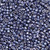 TOHO Aiko 11-PF567, PermaFinish Galvanized Polaris (5 grams)