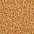 15-4203F, Duracoat Matte Deep Gold (14 gr.) Miyuki Overstock