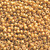 8-PF0557F, PermaFinish Matte Gold (28 gr.) Toho (Formerly PF0471) Overstock
