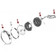 Headlight Diagram - Willys CJ-5, 6