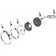 Headlight Diagram - 49-53 CJ-3A