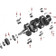 4-134 Engine - Crankshaft & Bearings