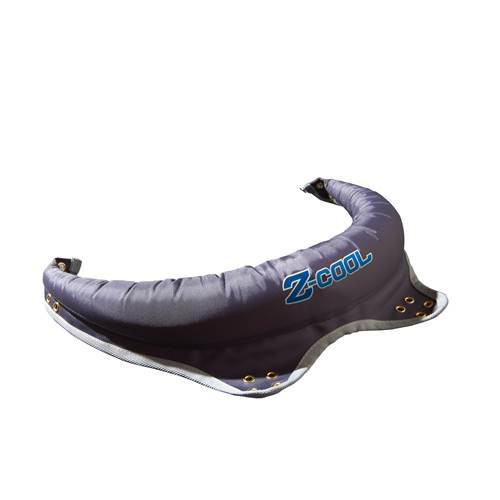 inflatable neck roll