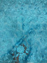 Sky Blue Floral Lace Fabric Embroidery with Sequins on a Mesh Lace Fabric by the yard.