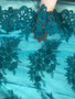 Sky Blue Floral Lace be fabric, Embroidery with Sequins on a Mesh Lace Fabric by the yard.