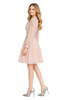 Embroidered Eyelet Knee-Length Dress with Stand-up Collar