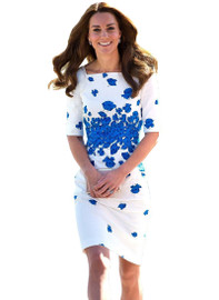 White and Blue Poppy Floral Print Sheath Midi Dress