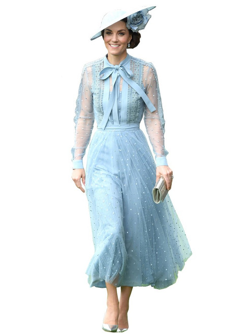 Pussy Bow Embroidered Tulle Dress in Blue