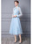 Pussy Bow Embroidered Tulle Dress in Blue