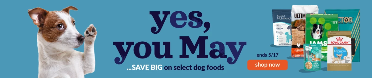 Feeders Pet Supply