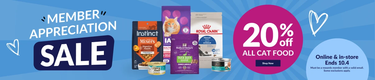 Feeders Pet Supply