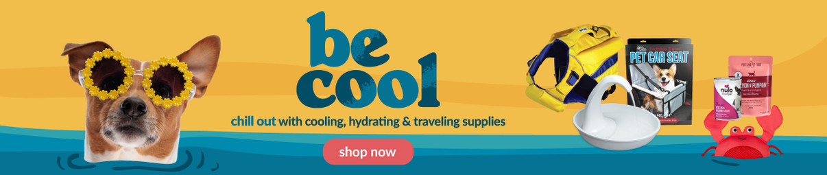 Feeders Pet Supply