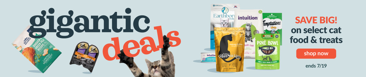 Feeders Pet Supply