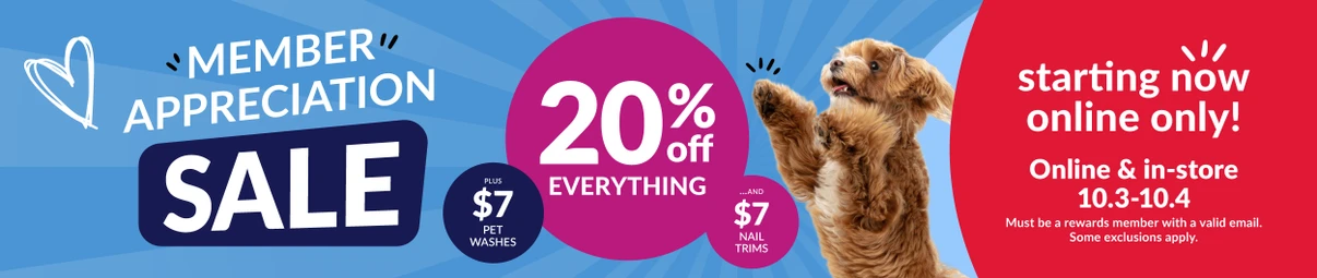 Feeders Pet Supply