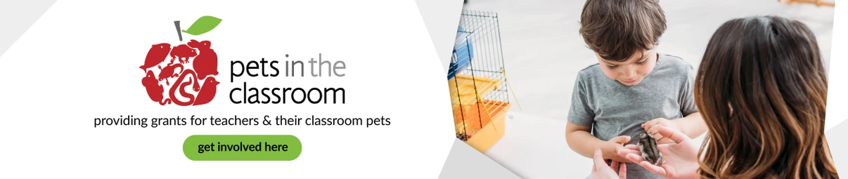 Feeders Pet Supply