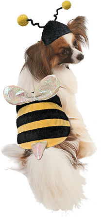 bumble bee dog costumes