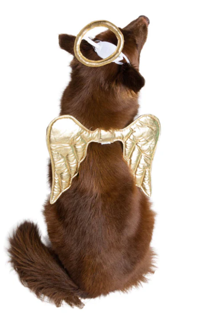 Pet Krewe Angel, Dog Costume