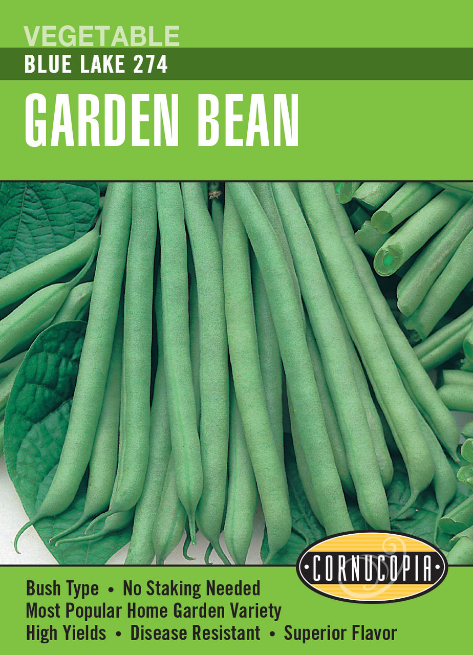 Renee's Garden Blue Lake 274 Garden Bean Seeds Chow Hound Pet Supplies