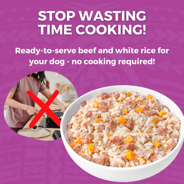Upset Stomach Boiled Chicken And Rice For Dogs Diarrhea Is Boiled