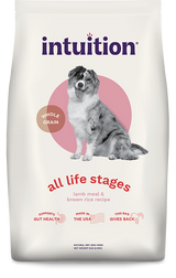 Intuition All Life Stages Lamb Meal & Brown Rice Recipe Dry Dog Food