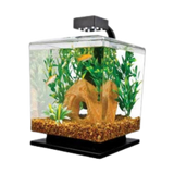 Tetra LED Aquarium Cube Kit 1.5 gal