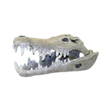 Blue Ribbon Nile Crocodile Skull Aquarium Ornament S