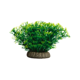 Tetra GloFish Java Moss Aquarium Plant 