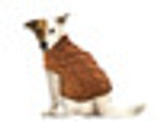 Spot Fashion Pet Twisted Cable Pet Sweater