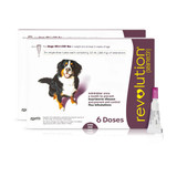 Revolution Canine Topical Soln