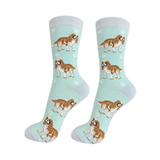 E & S Imports Pet Lover Socks Cavalier King Charles Spaniel Dog, Unisex, One Size Fits Most 