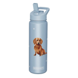 E & S Imports Serengeti Red Dachshund Stainless Steel Water Bottle 24 oz
