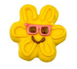 Bosco & Roxy Summer Pool Party Free Sunburns Dog Treat Cookie 