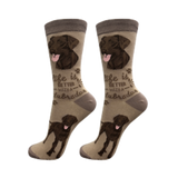 E & S Imports Life is Better With a Chocolate Labrador Socks 