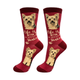 E & S Imports Life is Better With a Yorkie Socks 