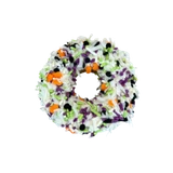 K9 Granola Halloween Coconut Scream Donut Dog Treat 
