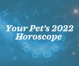 Your Pet's Horoscope for 2022